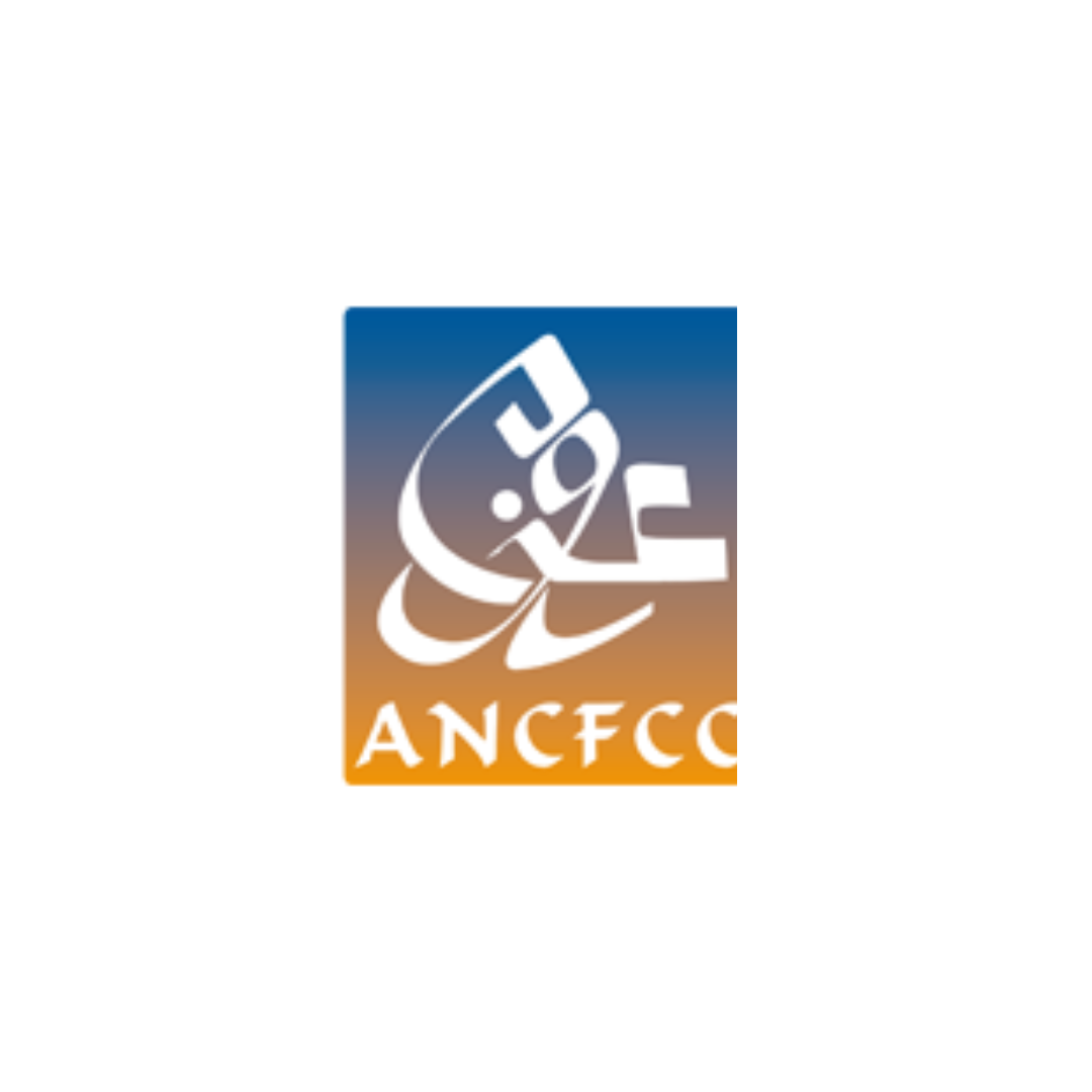 ANCFCC